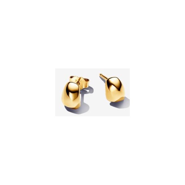Pandora Shine Earrings Sterling Jewelers Wethersfield, CT