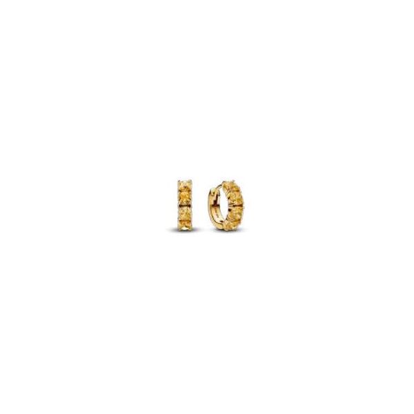 Pandora Shine Earrings Sterling Jewelers Wethersfield, CT