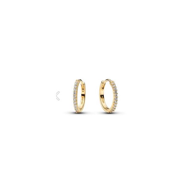 Pandora Shine Earrings Sterling Jewelers Wethersfield, CT