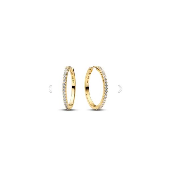Pandora Shine Earrings Sterling Jewelers Wethersfield, CT