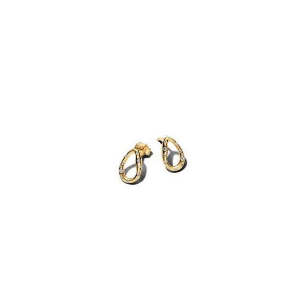 Pandora Shine Earrings Sterling Jewelers Wethersfield, CT