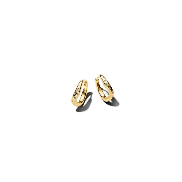 Pandora Shine Earrings Sterling Jewelers Wethersfield, CT