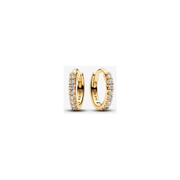 Pandora Shine Earrings Sterling Jewelers Wethersfield, CT