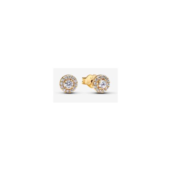 Pandora Shine Earrings Sterling Jewelers Wethersfield, CT