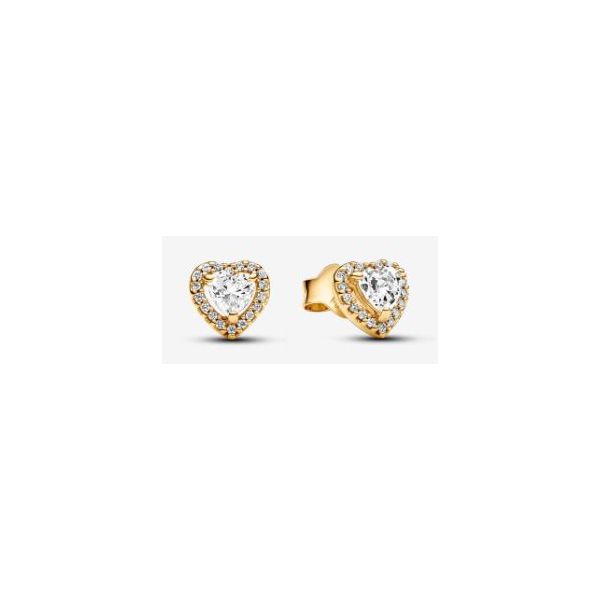 Pandora Shine Earrings Sterling Jewelers Wethersfield, CT