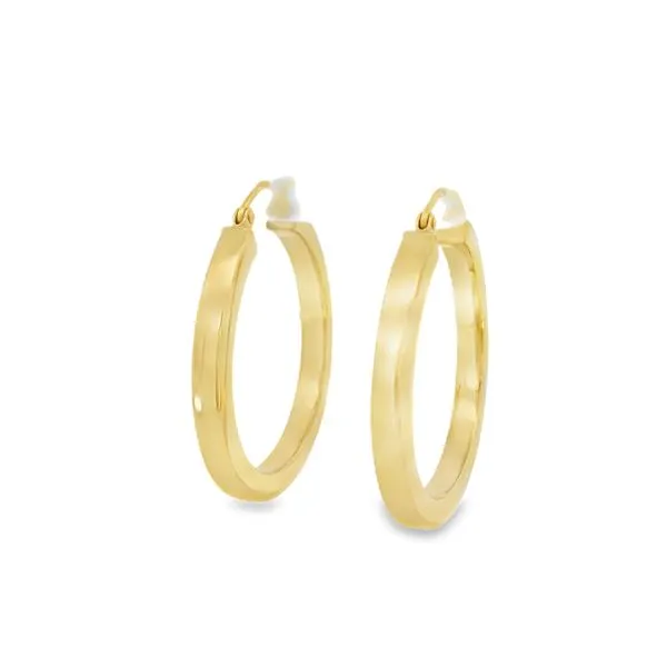 Earrings Simones Jewelry, LLC Shrewsbury, NJ