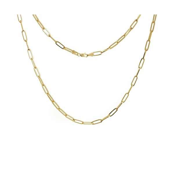 Gold Paper Clip Chain Simones Jewelry, LLC Shrewsbury, NJ