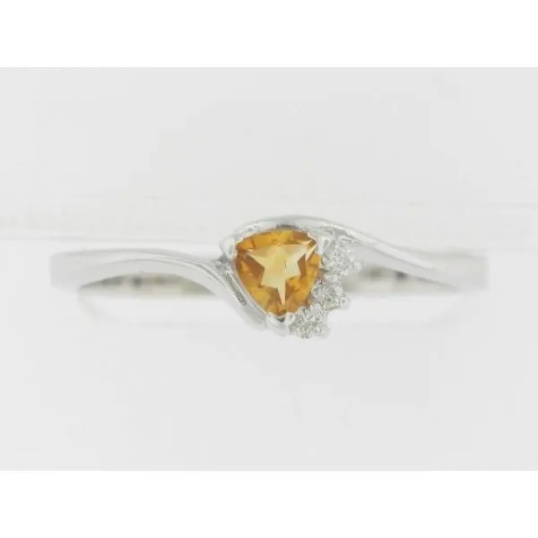 Fashion Ring Skewes Jewelry, Inc. Marshall, MN