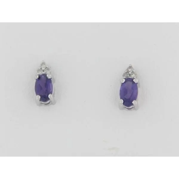 Earrings Skewes Jewelry, Inc. Marshall, MN
