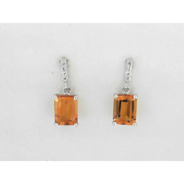 Earrings Skewes Jewelry, Inc. Marshall, MN