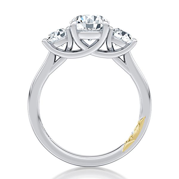 AJ 14K White Gold Ladies Engagement Ring Image 2 Steve Lennon & Co Jewelers  New Hartford, NY