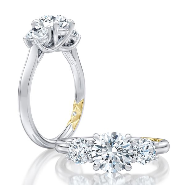 AJ 14K White Gold Ladies Engagement Ring Image 3 Steve Lennon & Co Jewelers  New Hartford, NY