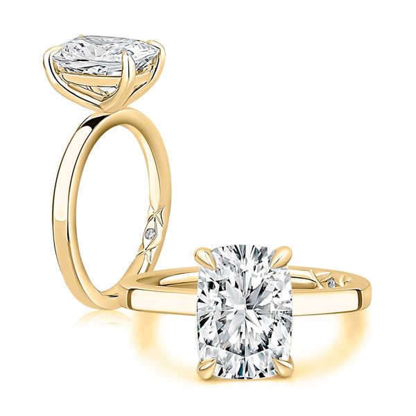 AJ 14K Yellow Gold Ladies Engagement Ring Steve Lennon & Co Jewelers  New Hartford, NY