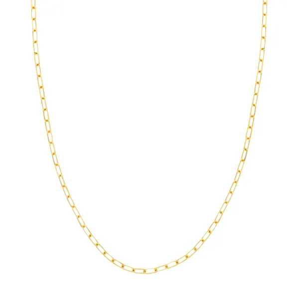14K Yellow Gold Chain Steve Lennon & Co Jewelers  New Hartford, NY