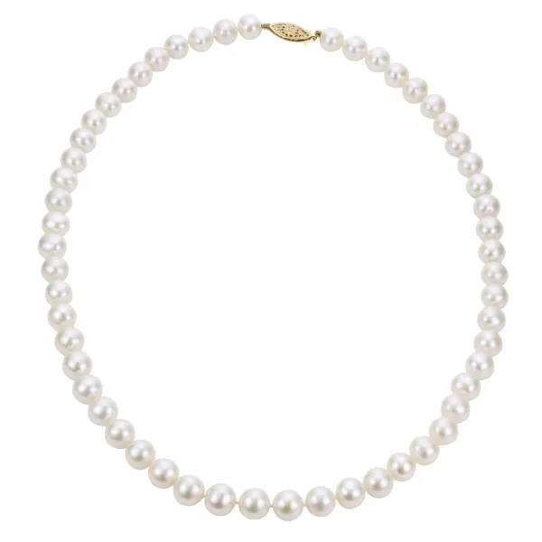14K Yellow Gold Pearl Strand Necklace Steve Lennon & Co Jewelers  New Hartford, NY