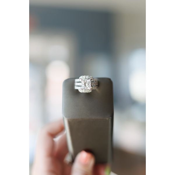 GF 14K White Gold Ladies Wedding Band Steve Lennon & Co Jewelers  New Hartford, NY