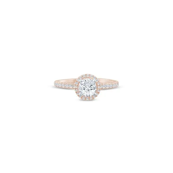 S. Lennon Bridal Eternal Love Collection 14K Rose Gold Semi Mount with a Low Set Halo and a Cathedral Setting .25CTW Steve Lennon & Co Jewelers  New Hartford, NY