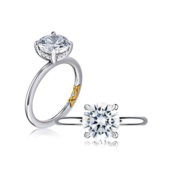 AJ 14K White Gold Ladies Engagement Ring Steve Lennon & Co Jewelers  New Hartford, NY