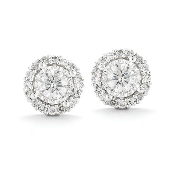 PAR 14K White Gold Diamond Stud Earrings Steve Lennon & Co Jewelers  New Hartford, NY