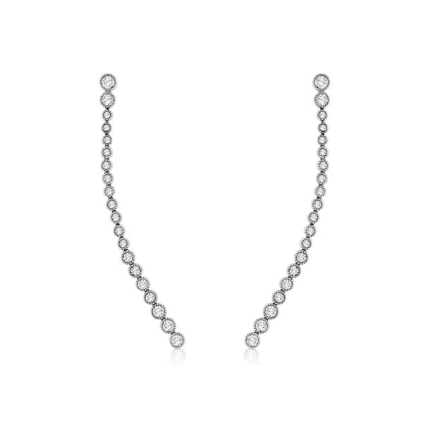 RJM 14K White Gold Diamond Fancy Earrings Steve Lennon & Co Jewelers  New Hartford, NY