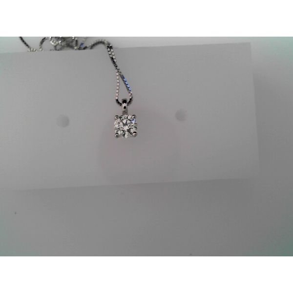 PAR 14K White Gold Diamond Classic Necklace/Pendant Steve Lennon & Co Jewelers  New Hartford, NY