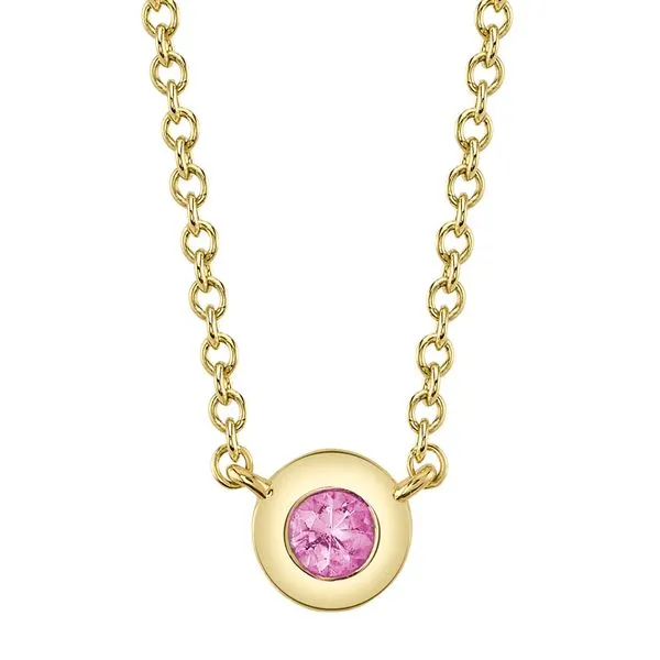 Shy Creation 14Kt Yellow Gold Pink Sapphire Bezel Necklace .07tcw Steve Lennon & Co Jewelers  New Hartford, NY