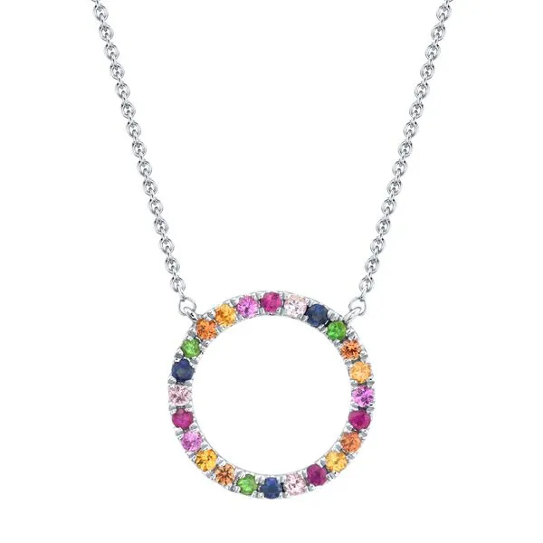 Shy Creation 14Kt White Gold Multi-Color Stone Open Circle Necklace .29tcw Steve Lennon & Co Jewelers  New Hartford, NY