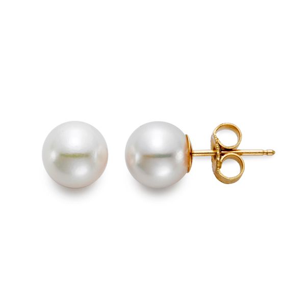 MP 14K Yellow Gold Pearl Earrings Steve Lennon & Co Jewelers  New Hartford, NY