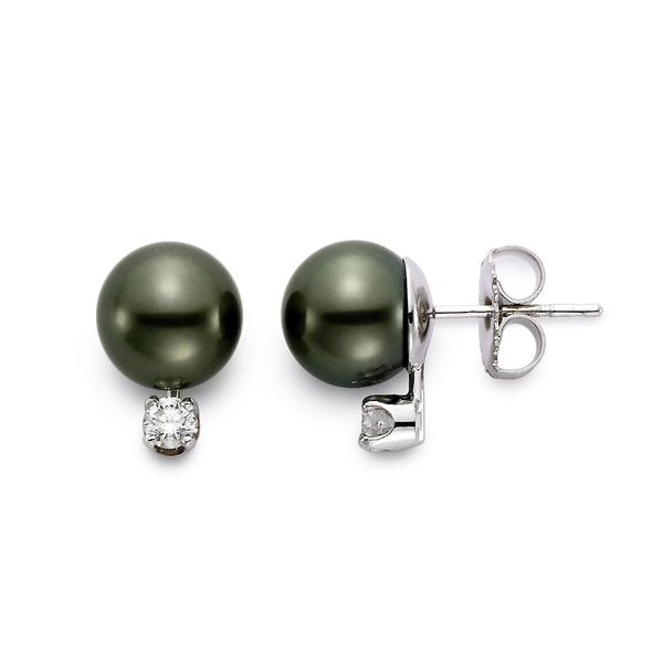 MP 18K White Gold Pearl Earrings Steve Lennon & Co Jewelers  New Hartford, NY