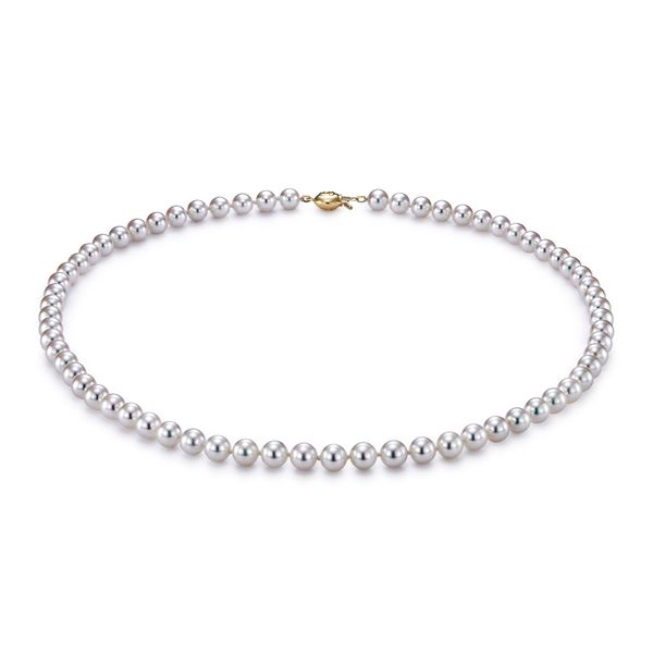 MP 18K Yellow Gold Pearl Necklace Steve Lennon & Co Jewelers  New Hartford, NY