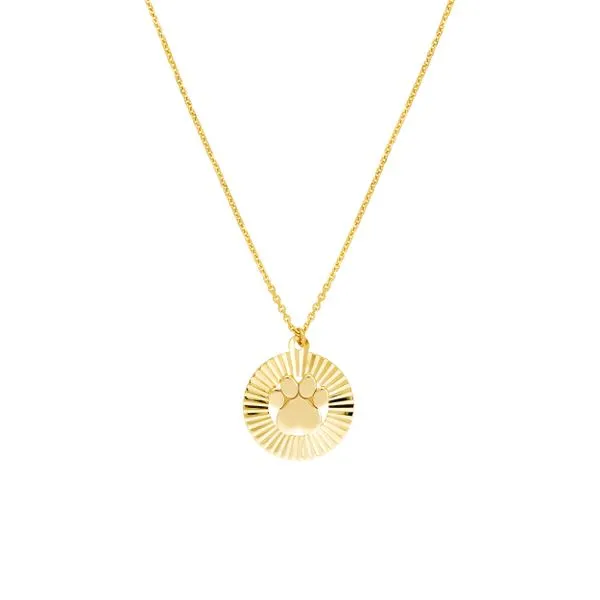 14K Yellow Gold Paw Print in Radiant Disk Necklace Steve Lennon & Co Jewelers  New Hartford, NY