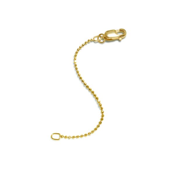 AW 14K Yellow Gold Gold Chain Steve Lennon & Co Jewelers  New Hartford, NY