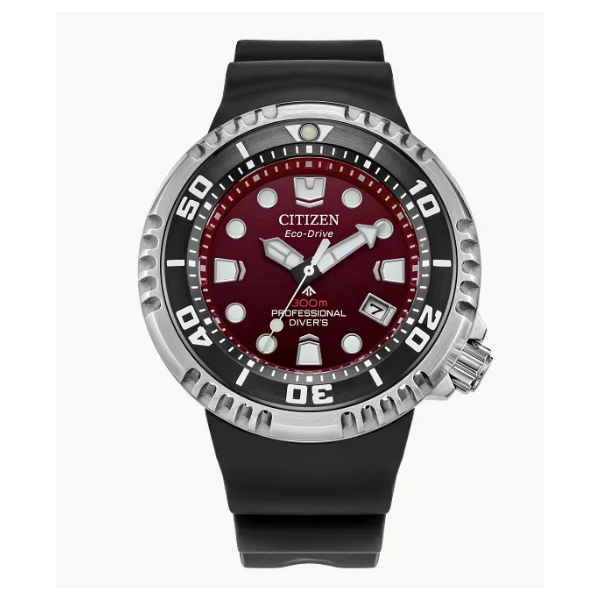 CW Stainless Steel Watch Steve Lennon & Co Jewelers  New Hartford, NY