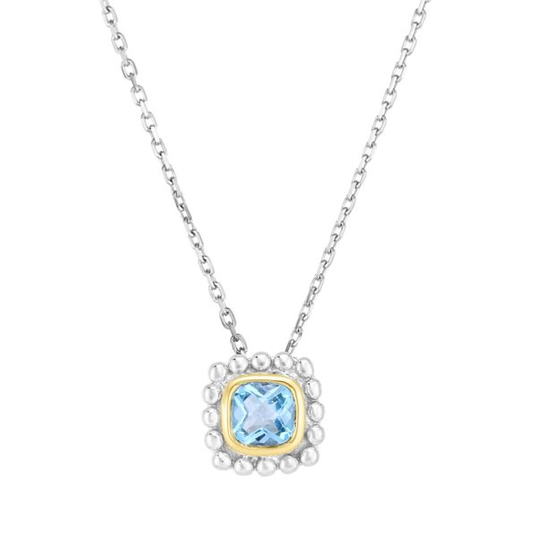 Phillip Gavriel Silver Necklace With One Square Cushion Blue Topaz Steve Lennon & Co Jewelers  New Hartford, NY