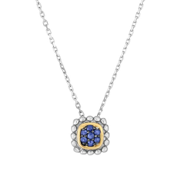 Phillip Gavriel Silver Necklace With One Square Cushion Sapphire Steve Lennon & Co Jewelers  New Hartford, NY