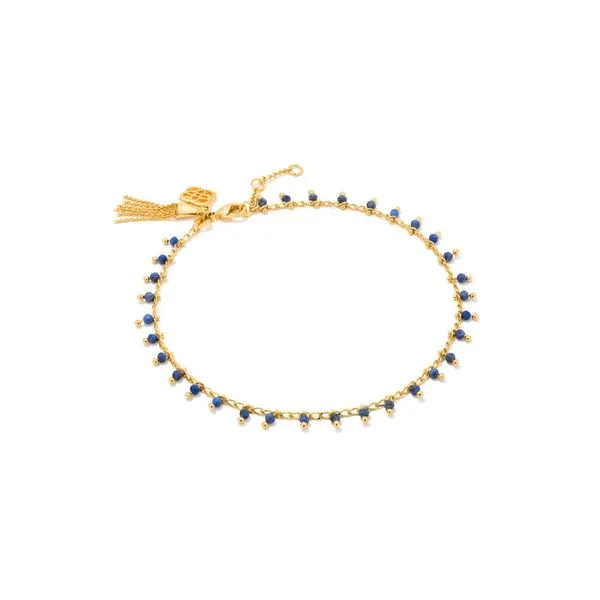Kendra Scott JENNA ANKLET GOLD BLUE LAPIS Steve Lennon & Co Jewelers  New Hartford, NY