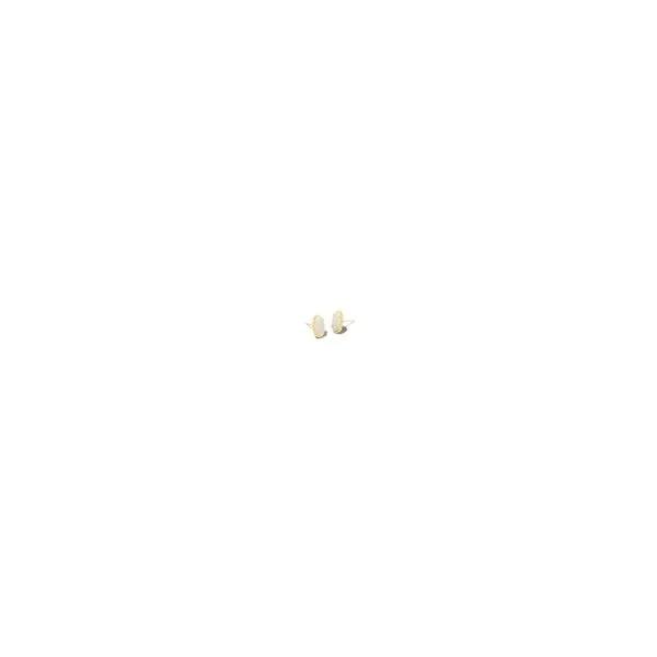 Kendra Scott Grayson Stud Earrings Gold Iridescent Drusy Steve Lennon & Co Jewelers  New Hartford, NY