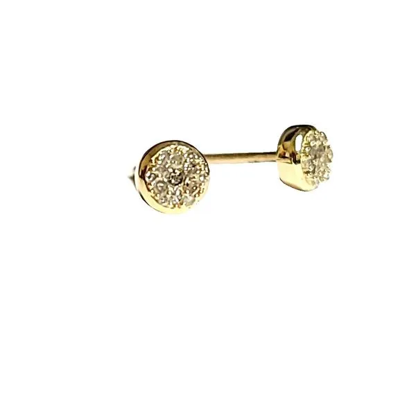 Diamond Earrings Smith Jewelers Franklin, VA