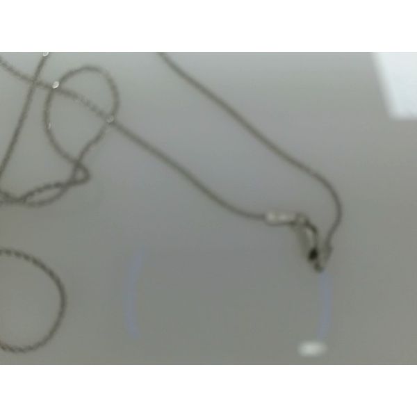 Chain Snyder Jewelers Longmont, CO