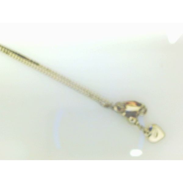 Chain Snyder Jewelers Longmont, CO