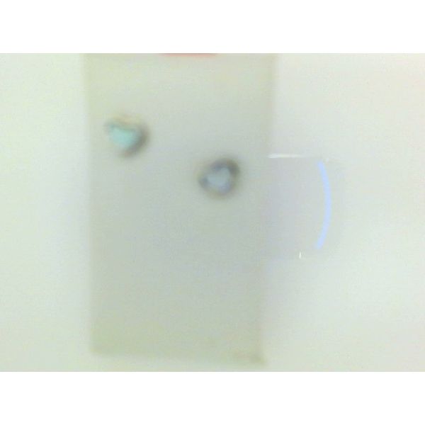 Charm Snyder Jewelers Longmont, CO