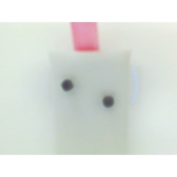 Earrings Snyder Jewelers Longmont, CO