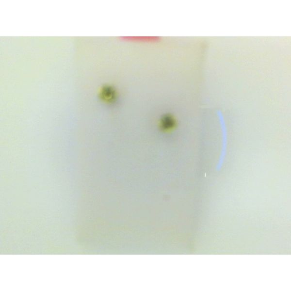 Earrings Snyder Jewelers Longmont, CO