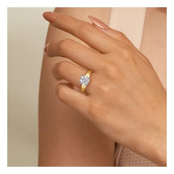 Engagement Ring Setting (w/o Center) Image 2 Spath Jewelers Bartow, FL