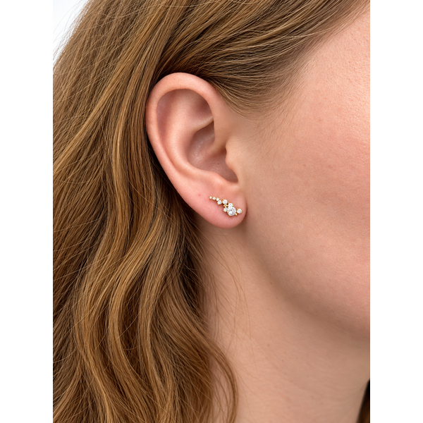 Diamond Earrings Image 2 Spath Jewelers Bartow, FL