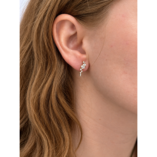 Diamond Earrings Image 3 Spath Jewelers Bartow, FL