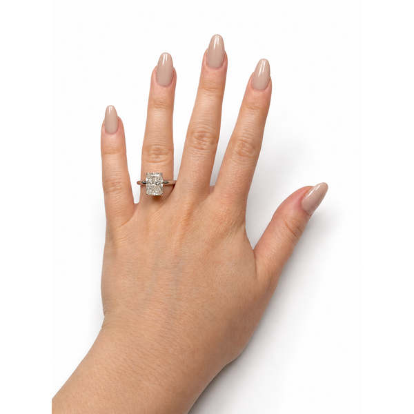 Lab Grown Diamond Engagement Ring Image 3 Spath Jewelers Bartow, FL