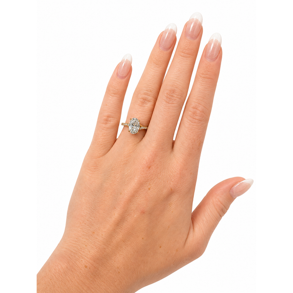 Lab Grown Diamond Engagement Ring Image 2 Spath Jewelers Bartow, FL