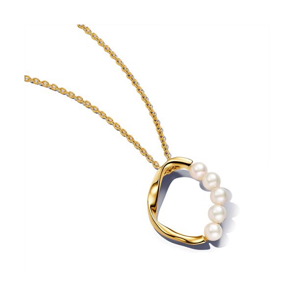 Silver Necklace Spath Jewelers Bartow, FL