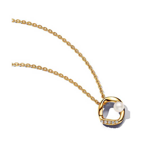 Silver Necklace Spath Jewelers Bartow, FL